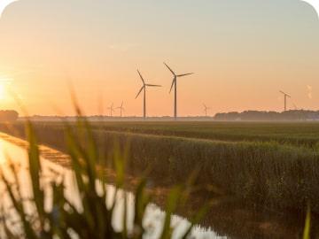 Wind turbines in a field during sunset